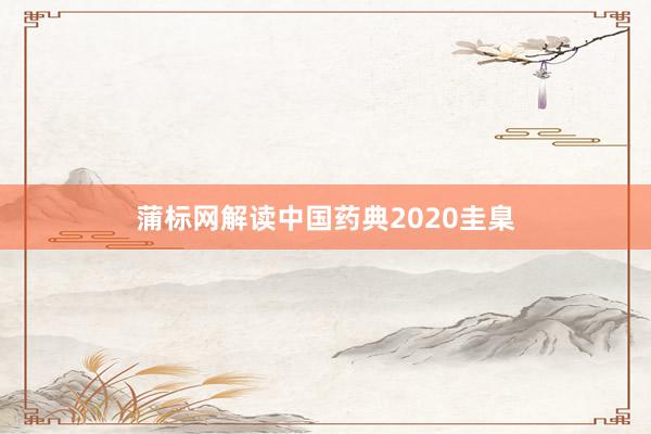 蒲标网解读中国药典2020圭臬