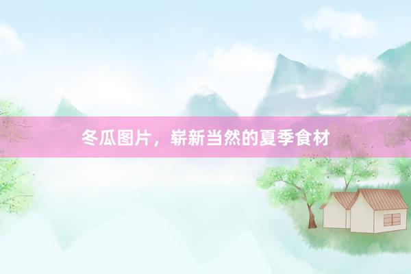 冬瓜图片,崭新当然的夏季食材
