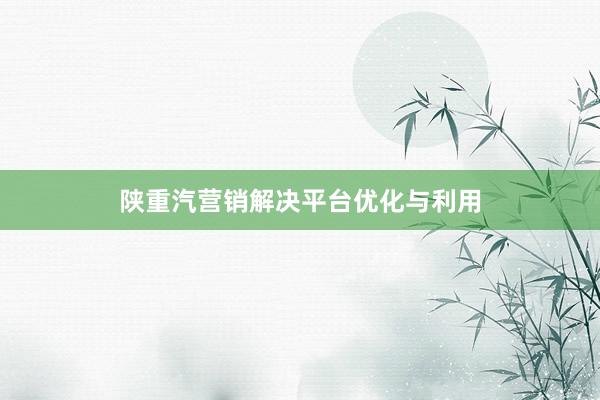 陕重汽营销解决平台优化与利用